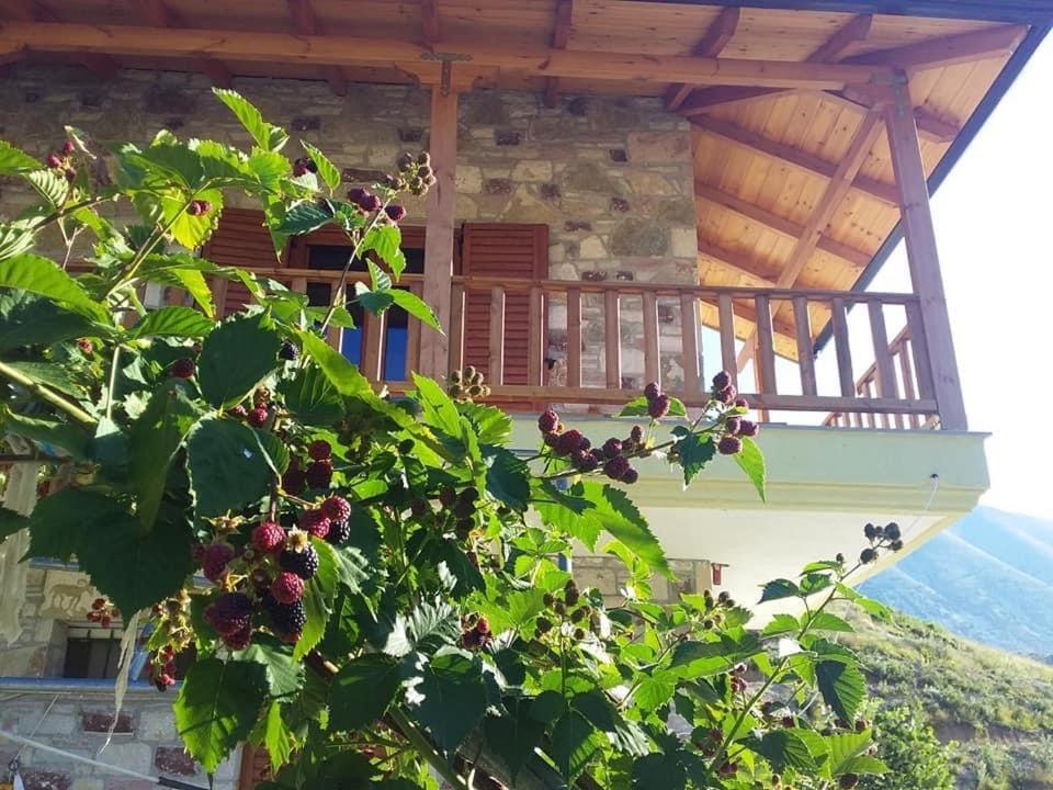 Bujtina Hader Xhebro Hostel Tepelene Exterior photo