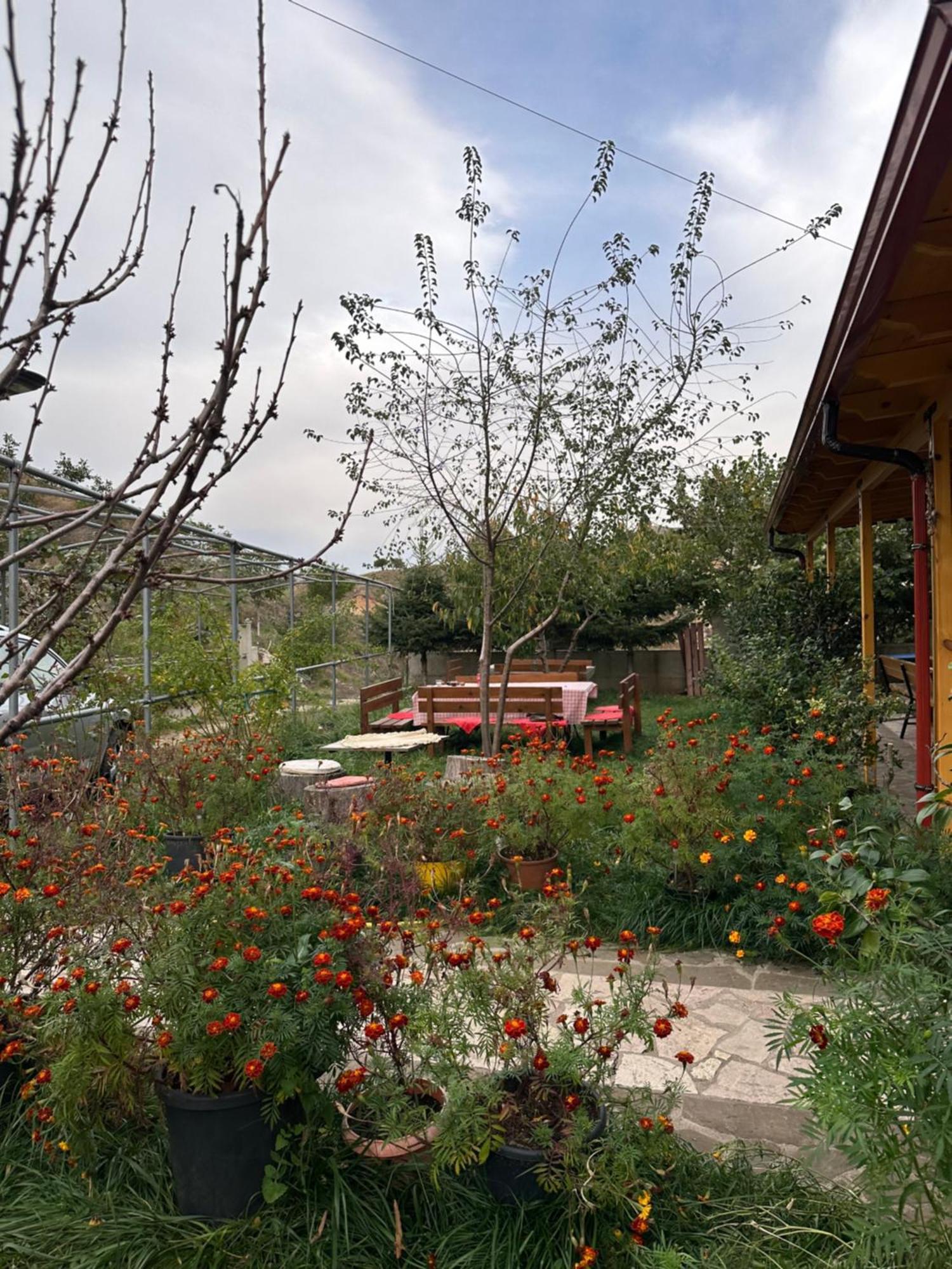 Bujtina Hader Xhebro Hostel Tepelene Exterior photo